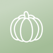 icon pumpkin icon pumpkin
